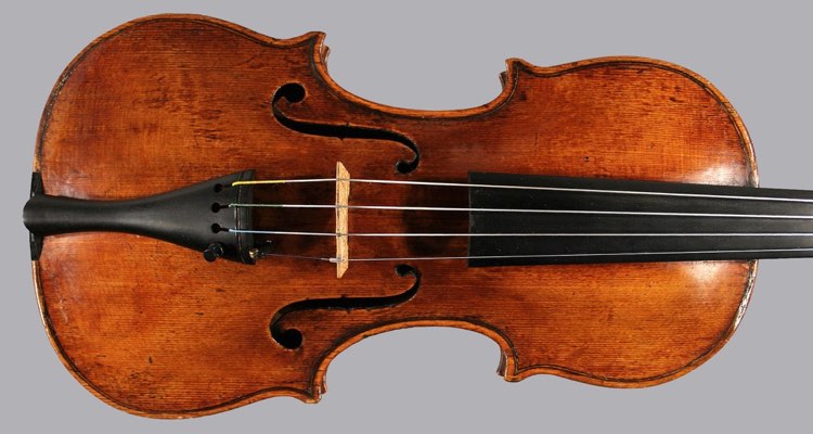 Violin musical instrument