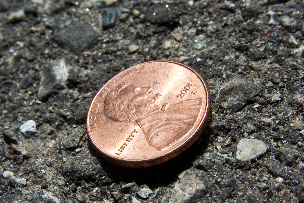 Image by Steven Depolo, licensed under Creative Commons Attribution-NoDerivs 2.0 Generic (CC BY-ND 2.0)