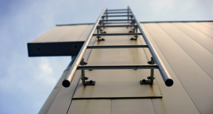Executive Ladder