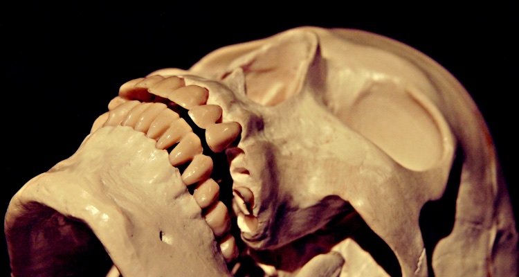 mp3skull