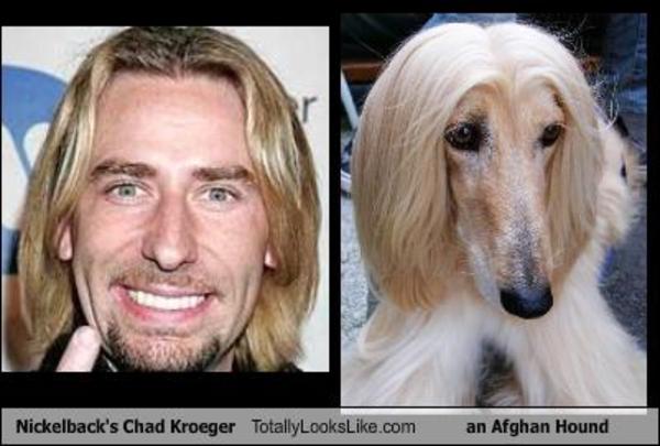 Nickelback Meme