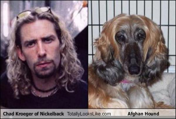 Nickelback Meme