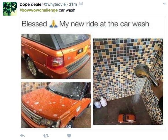Car Wash! Bow Wow Challenge