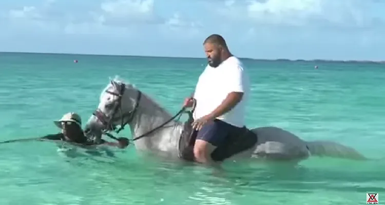 DJ Khaled Accused of Breaking a Horse's Back During Video Shoot