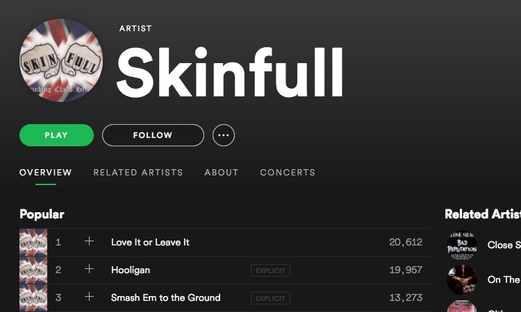 skinfull_spotify.jpg