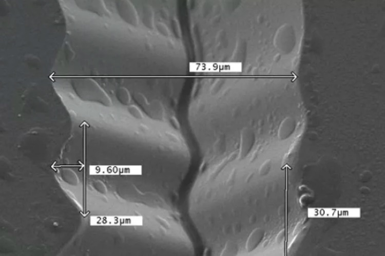 Up-close vinyl records groove. Laser-inscribed HD Vinyl grooves are coming next year.