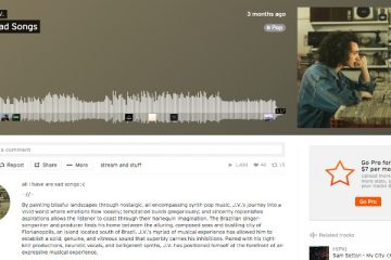 SoundCloud Description and Tags