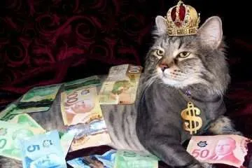 Canada's Music Industry Proposes a $3.50 'Copying Tax' on Every Smartphone
