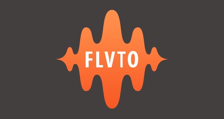FLVTO.biz, a YouTube 'stream-ripper' that recently won a surprise legal victory against the RIAA and its major label constituents.