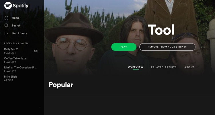 Tool Profile Pages Suddenly Appear on Spotify and Apple Music