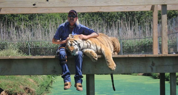 Tiger King songs