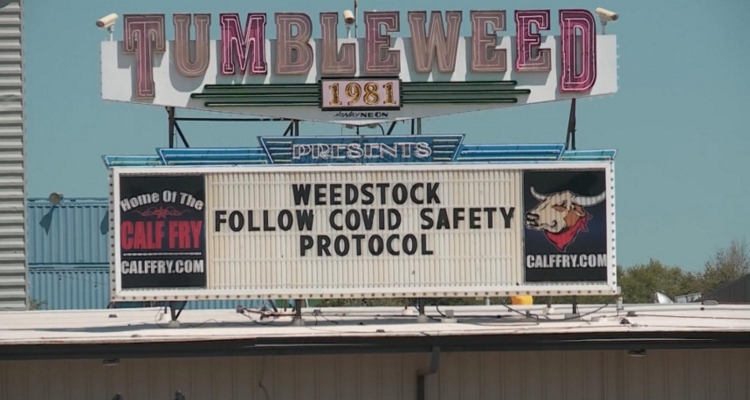 Weedstock 2020