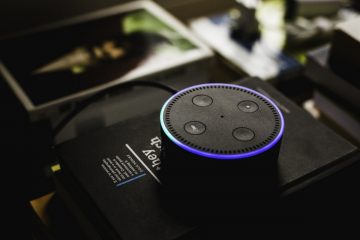 Facebook voice