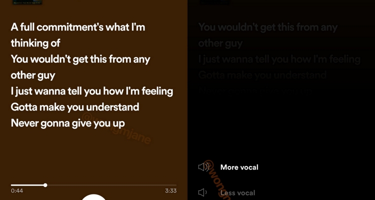 Spotify Karaoke