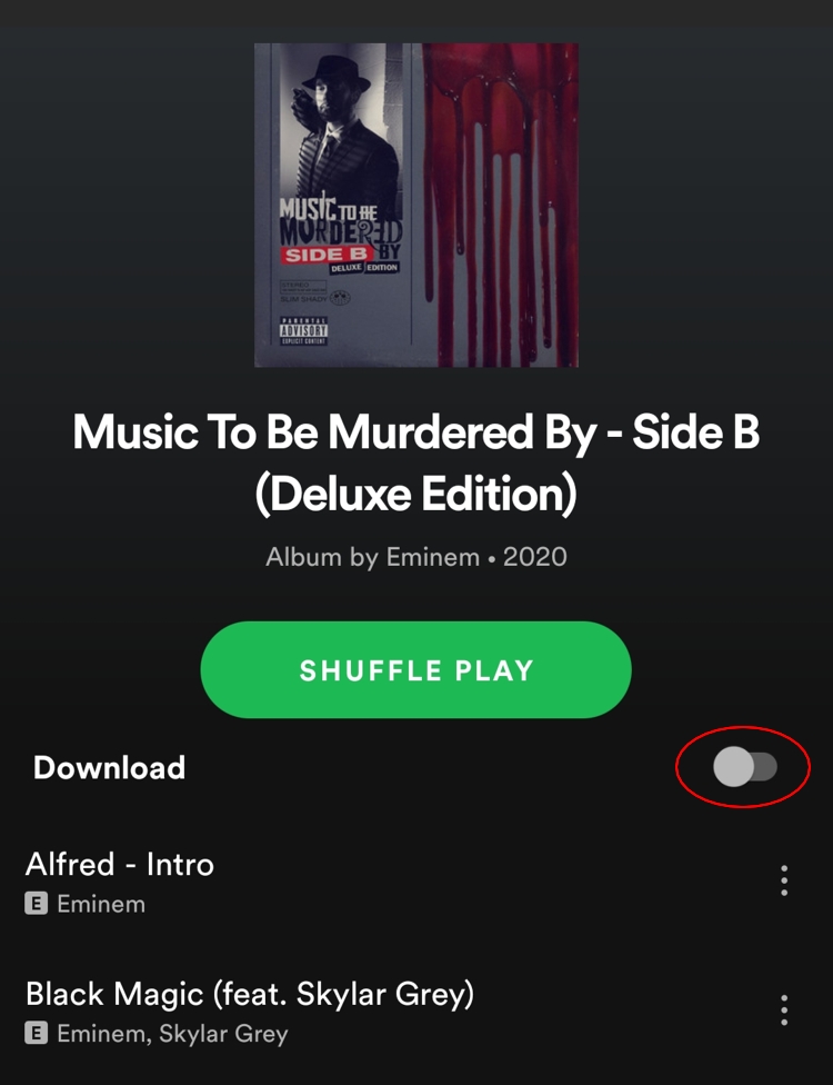 can you download spotify songs to computer