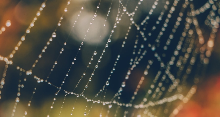 what do spiderwebs sound like
