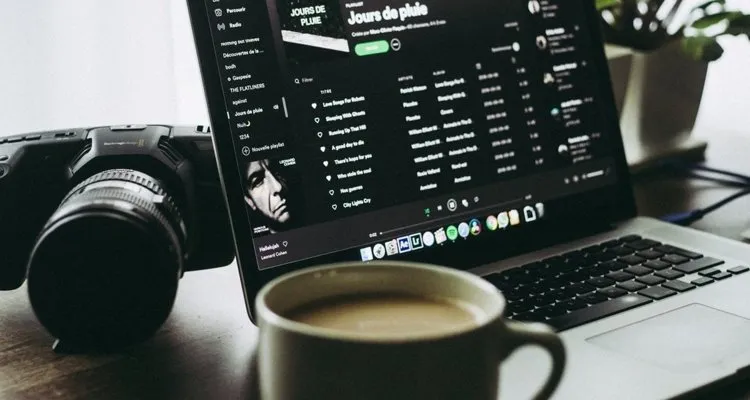 how to see who liked your Spotify playlist