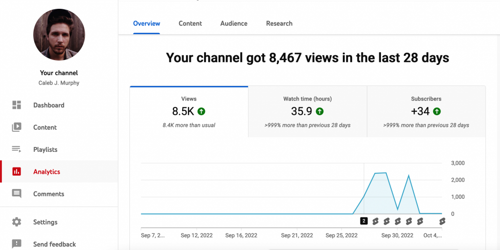 YouTube stats