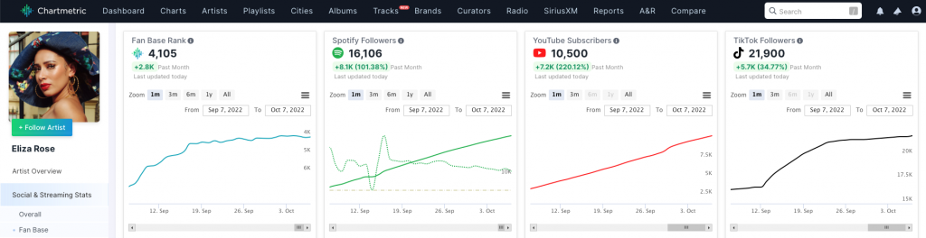 chartmetric epk data onesheet artist