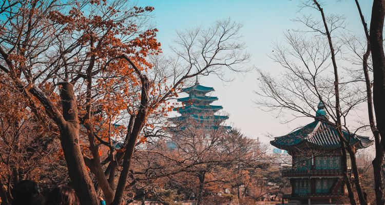 South Korean music sales