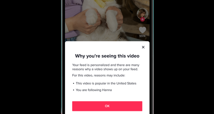 TikTok transparency algorithms
