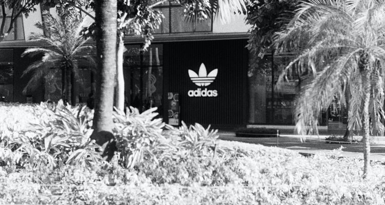 Beyonce Ivy Park Adidas