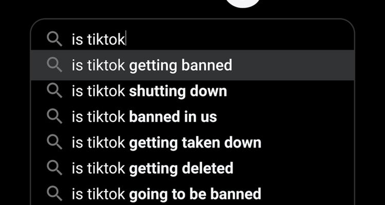 TikTok ban investigation house mccarthy