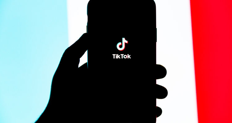 TikTok Biden ban