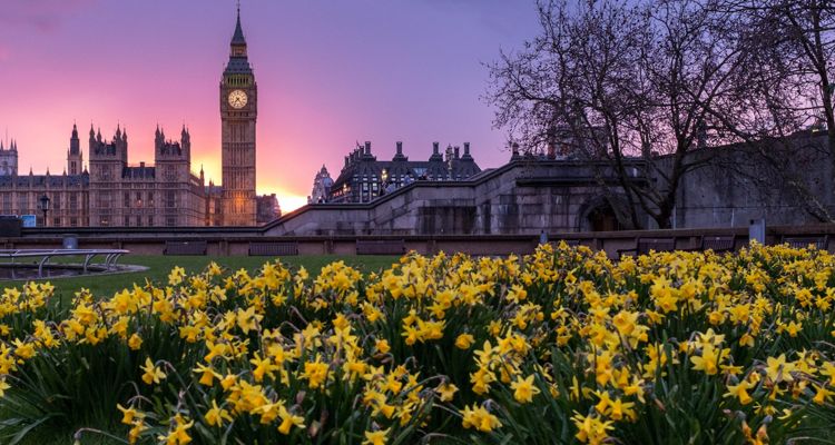 UK bans TikTok on government devices