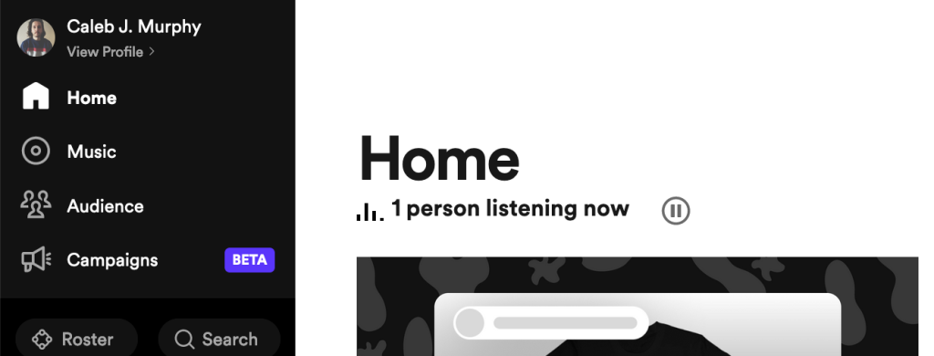 Spotify for Artists stats
