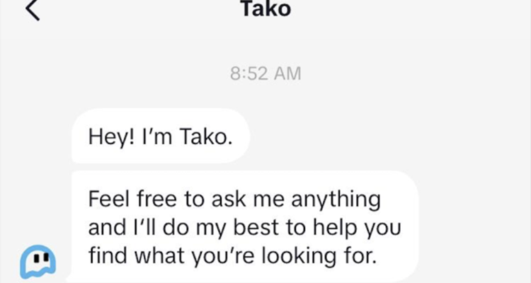 TikTok testing chatbot