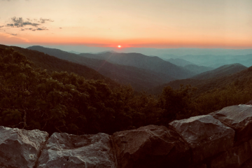 Zach Bryan Virginia ticketing laws