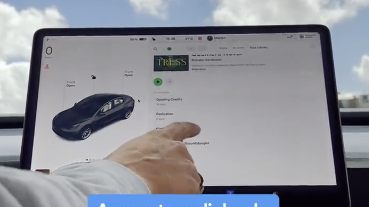 Tesla model 3 spotify store