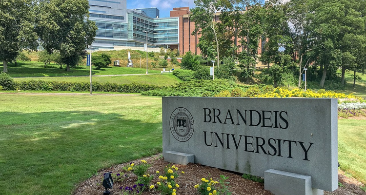 Brandeis University ends multiple music phd programs