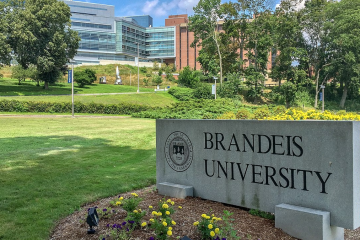 Brandeis University ends multiple music phd programs