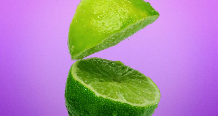 Limewire Creator Studio