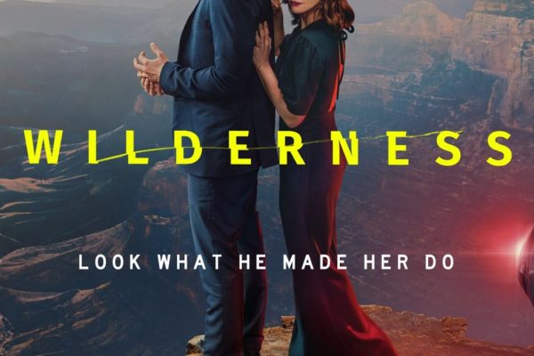 Wilderness Taylor Swift Look What You made Me Do