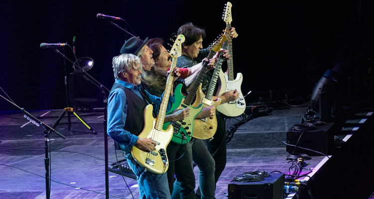 Steely Dan eagles