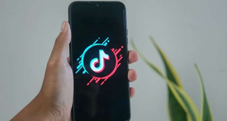 tiktok creator fund