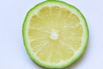 LimeWire unveils AI music studio