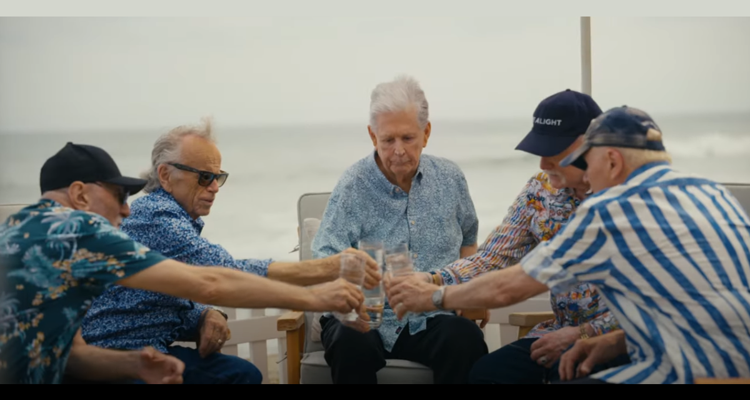 the beach boys documentary