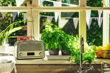 recording performance royalties NAB