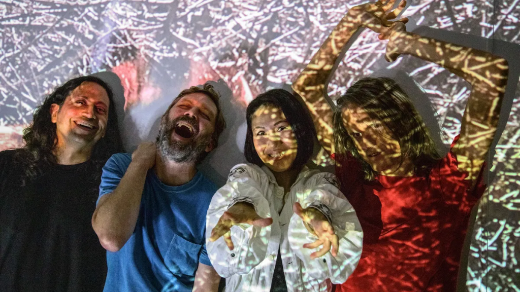 Deerhoof removing music from Spotify