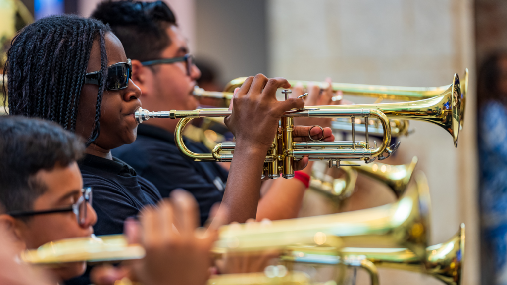 Miami Arts Access public schools