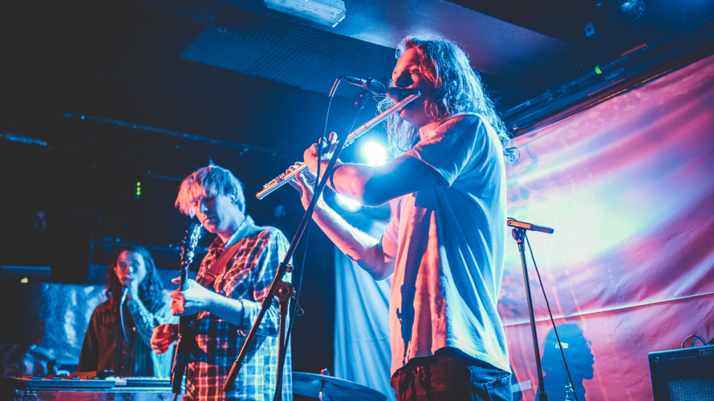 King Gizzard and the Lizard Wizard Pullout of Spotify