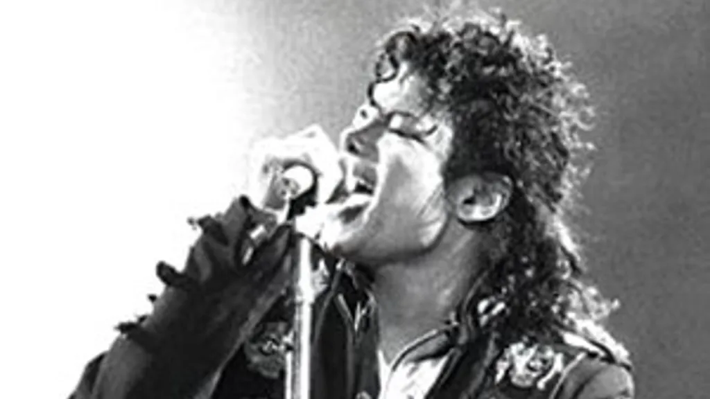 Michael Jackson lawyers