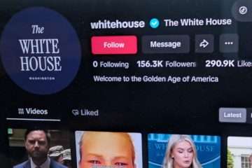 The White House TikTok account now live despite Congressional ban