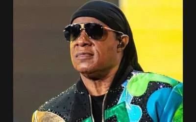 Phonorecords V Stevie Wonder