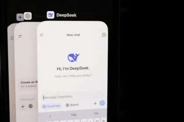 DeepSeek funding