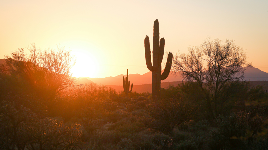 Phoenix Symphony to Suspend 2026-27 Seas